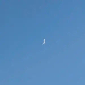 Meet your Posher, Sofia